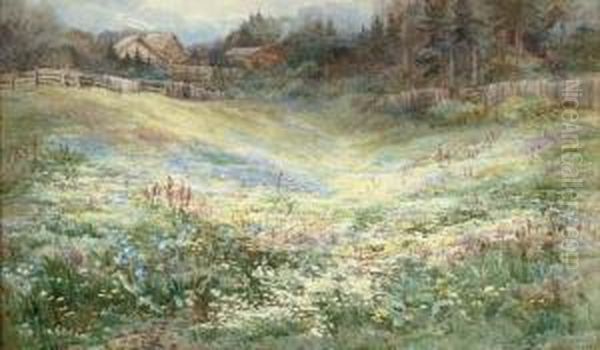 An Alpine Meadow - view 1