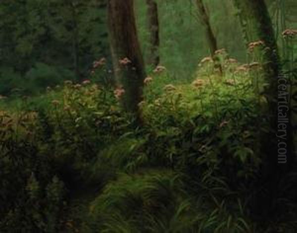 A Wooded Glade - view 1