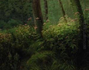 A Wooded Glade by Rene Stevens