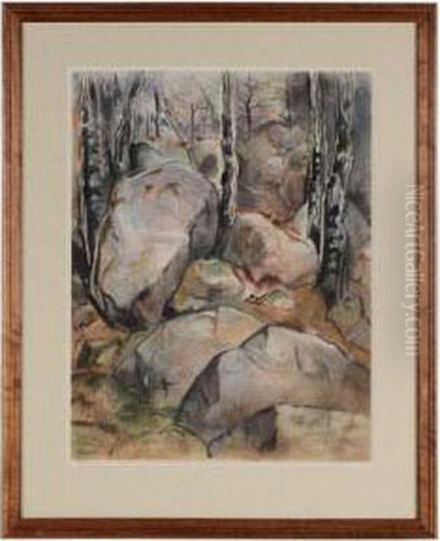 Boulders - view 1