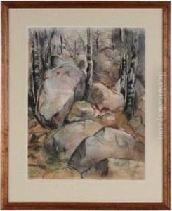 Boulders by Will Henry Stevens