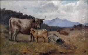 "a Young Highlander" - 
Highland Cow And Calf