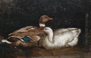 A Pair Of Ducks by William Grant Stevenson