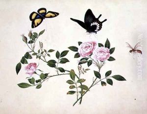 Roses in Bud and Bloom with Butterflies and Insects by Anonymous Artist
