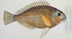 Eekan Kak atoo-ah, from 'Drawings of Fishes from Malacca', c.1805-18