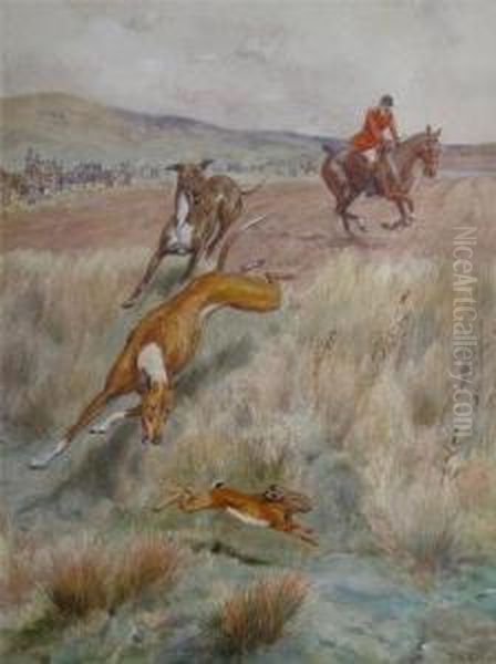 Hare Coursing - view 1