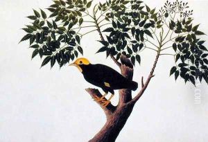 Tree akra Krieka, from 'Drawings of Birds from Malacca', c.1805-18 by Anonymous Artist