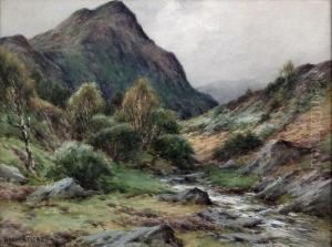 "troutdale Near Borderstone,
Borrowdale by Harry James Sticks