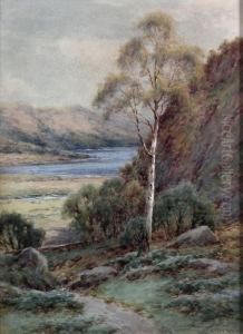 Rural Scene Looking Towards Lake by Harry James Sticks