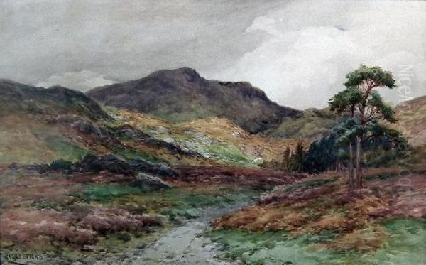"sunlight And Shadow, 
Tillerthwaite Valley - view 1