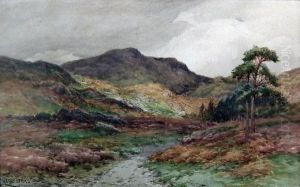 "sunlight And Shadow, 
Tillerthwaite Valley by Harry James Sticks