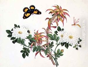 Two Stems of Amaranthus and Chrysanthemum with a Wasp and a Butterfly by Anonymous Artist