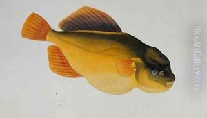 Eekan Boontal Pesang, from 'Drawings of Fishes from Malacca', c.1805-18