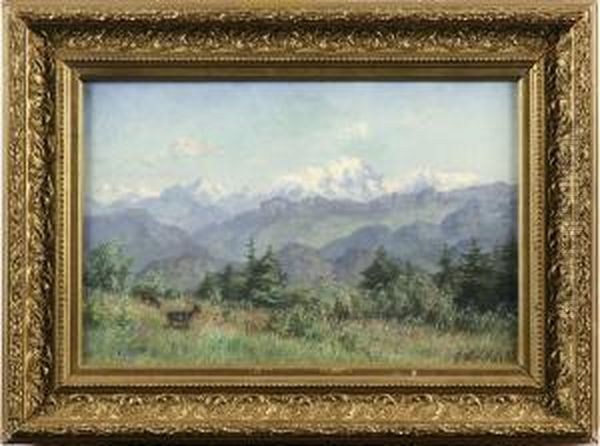 Alplandskap - view 1