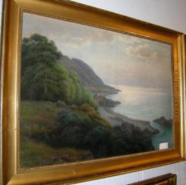 Kustlandskap Fran Arild - view 1
