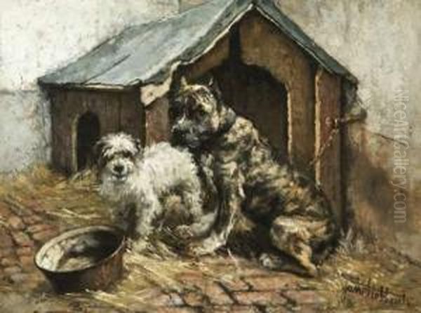 Twee Honden - view 1