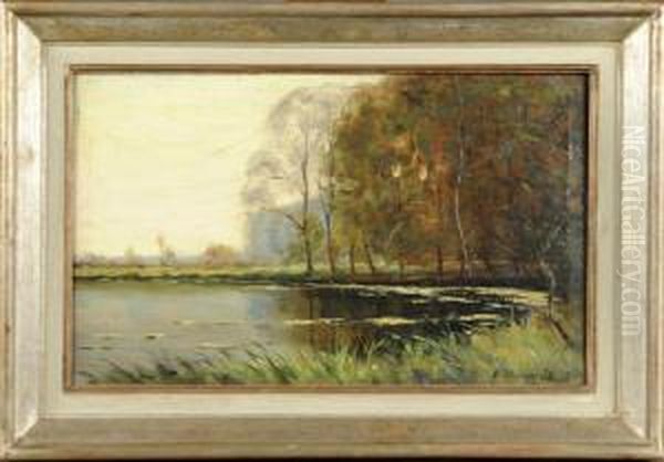 Etang Arbore - view 1