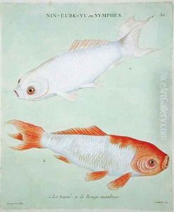 Le Nacre, Le Rougi-Membres by Anonymous Artist