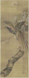 Pheasant and Pear Blossoms, 1907 by Anonymous Artist