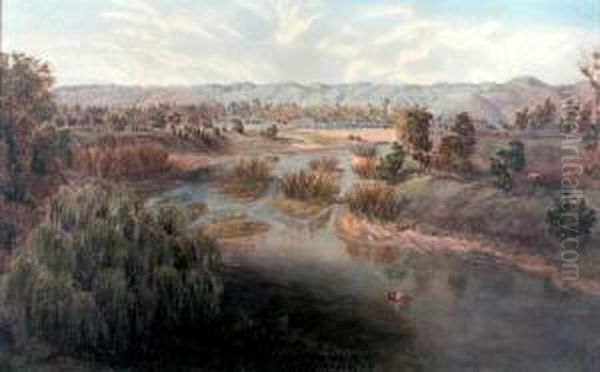 The River Torrensfrom The Bridge - view 1