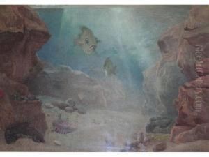Life At The Bottom Of The Sea by Walter Fryer Stocks