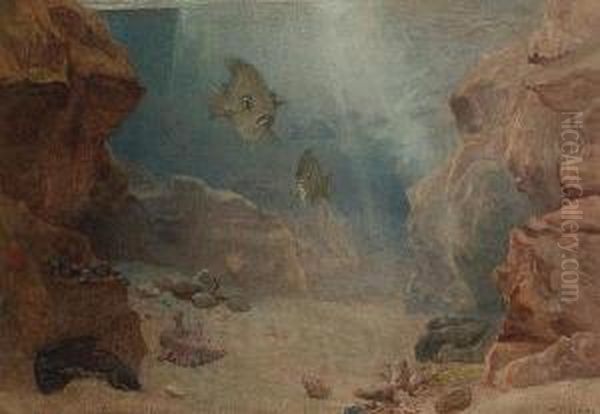 Beneath The Sea - view 1