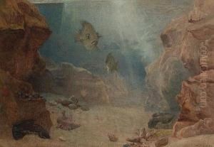 Beneath The Sea by Walter Fryer Stocks