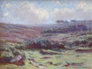 Lavender Fields