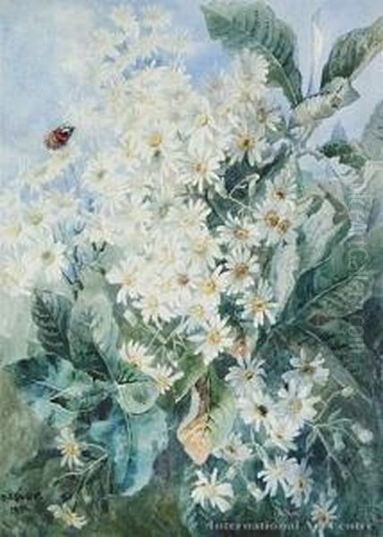 White Daisies And Butterfly - view 1
