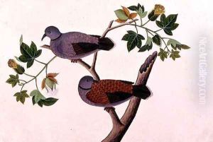 Birds in a tree, from 'Drawings of Birds from Malacca', c.1805-18 by Anonymous Artist