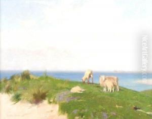 Seascape At The Lizard