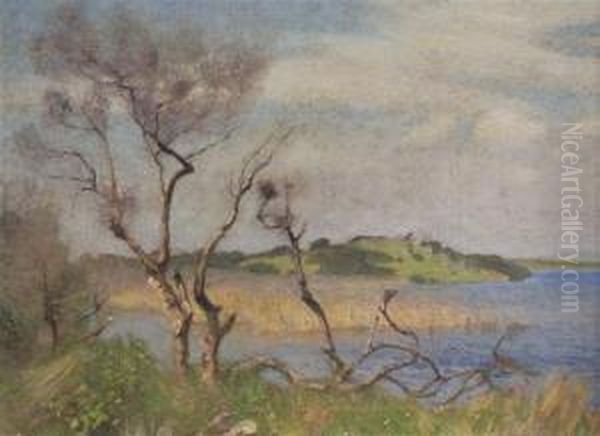 Coastal Landscape - view 1