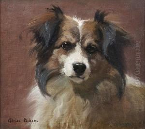 Portrait Of A Border Collie