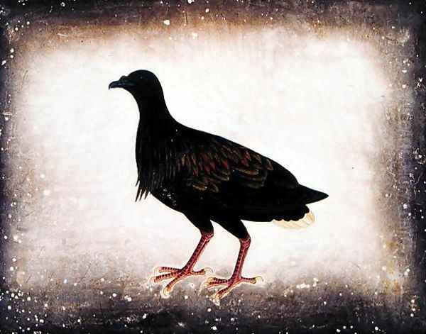 Bird, from 'Drawings of Birds from Malacca', c.1805-18 - view 1