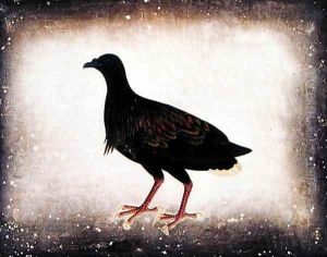 Bird, from 'Drawings of Birds from Malacca', c.1805-18