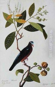 Brangan Chestnut, Pooney Tanah, from 'Drawings of Birds from Malacca', c.1805-18 by Anonymous Artist