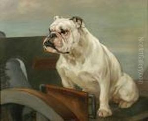 English Bulldog At The Defenses