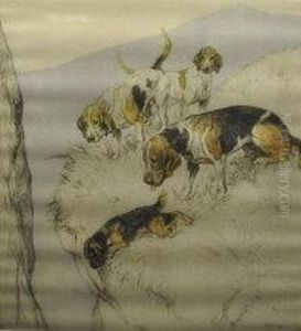 Yell Foxhounds