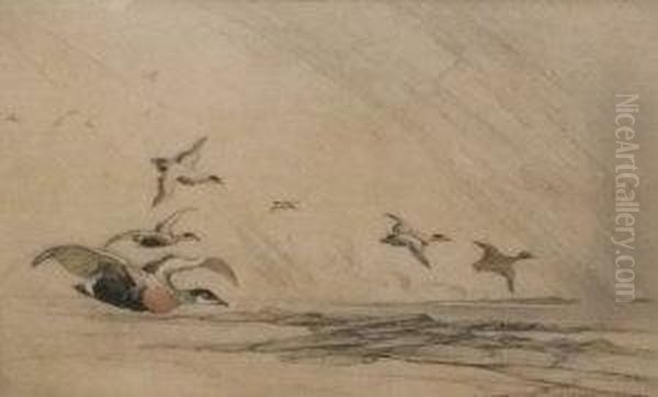Birds In Flight - view 1