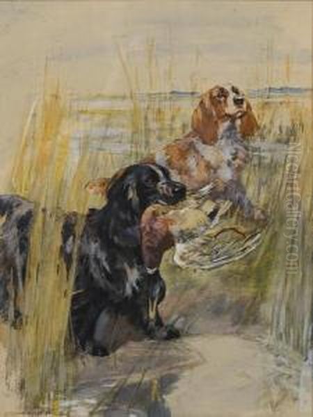 Cocker Spaniels - view 1