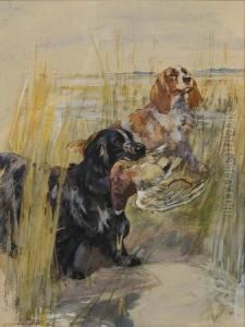 Cocker Spaniels