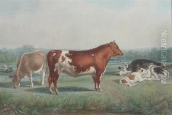 Cows Feeding In Clearing - view 1