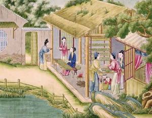 Learning about Silkworms, from a book on the silk industry by Anonymous Artist