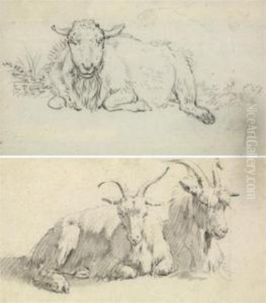 Mouton Couche - view 1