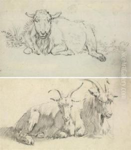 Mouton Couche by Hendrik Stokvish