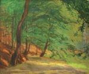 Stromovka by Josef Stolovsky
