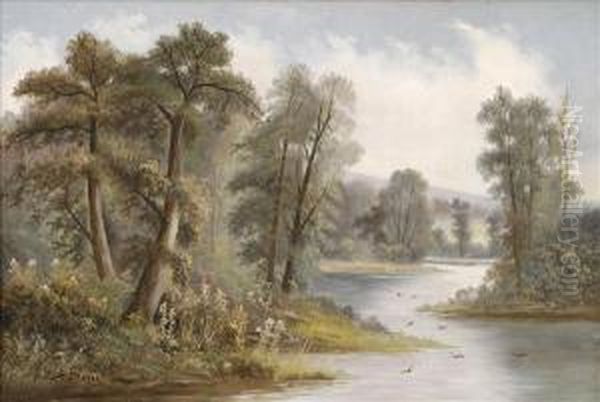 Wooded River Scene - view 1