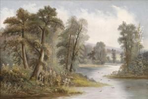 Wooded River Scene