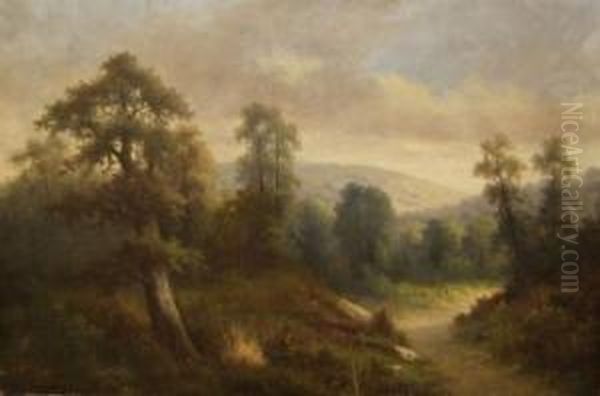 A Woodland - view 1