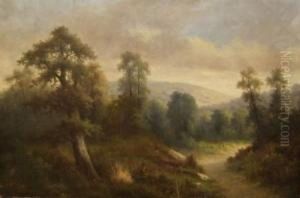 A Woodland
